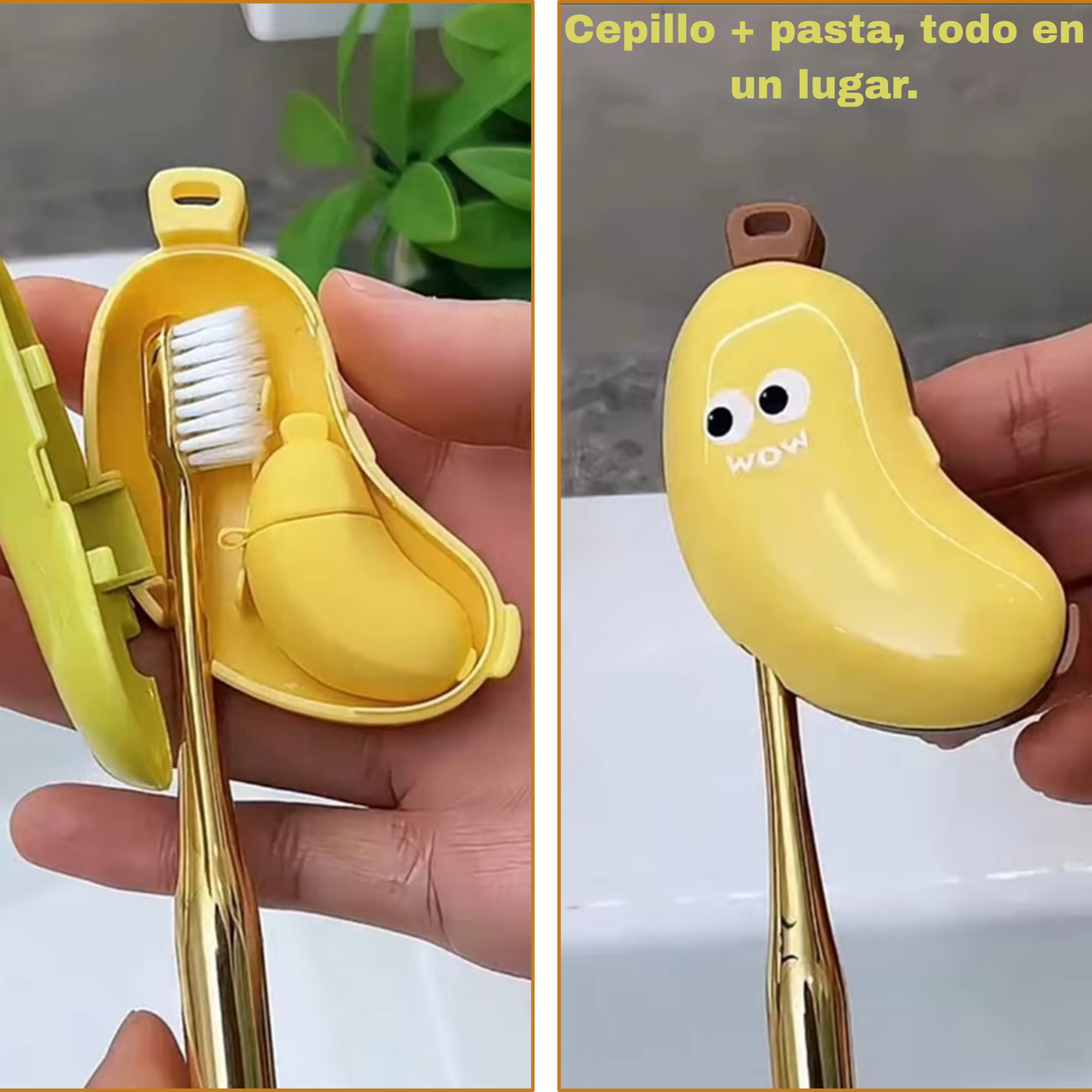 CepiGo - Your toothbrush always protected
