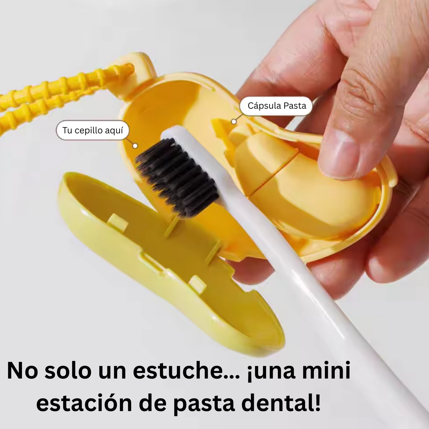 CepiGo - Tu cepillo siempre protegido