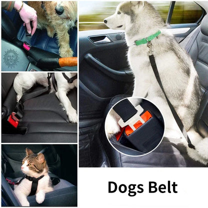 Cinturón de seguridad ajustable para mascotas – Clip para arnés
